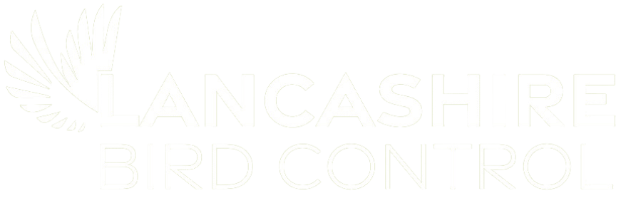 Lancashire Bird Control